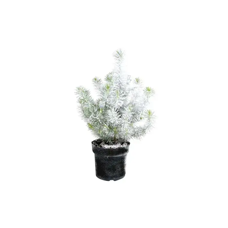 Vente Flash Pin floqué - Le pot de 1 litre