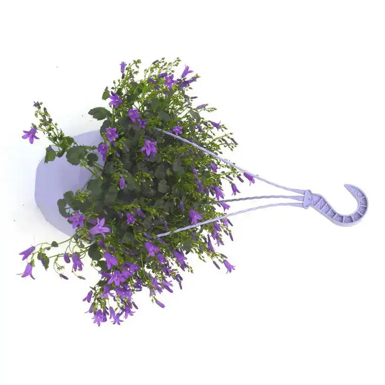 Campanule Addenda - La suspension diam 18 cm Expédié Aujourd'hui