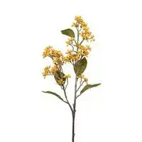 Expédié Aujourd'hui Magnolia Grandiflora Goliath blanc 125/150. Le pot de 25 litres