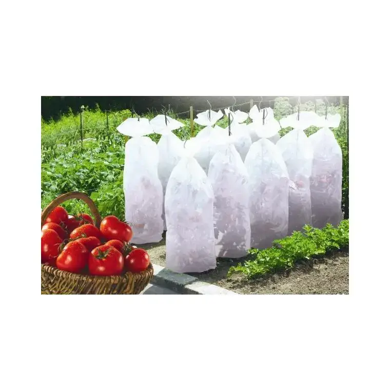 Retour Gratuit Gaine de croissance pour tomates coloris blanc 0,60x10 m