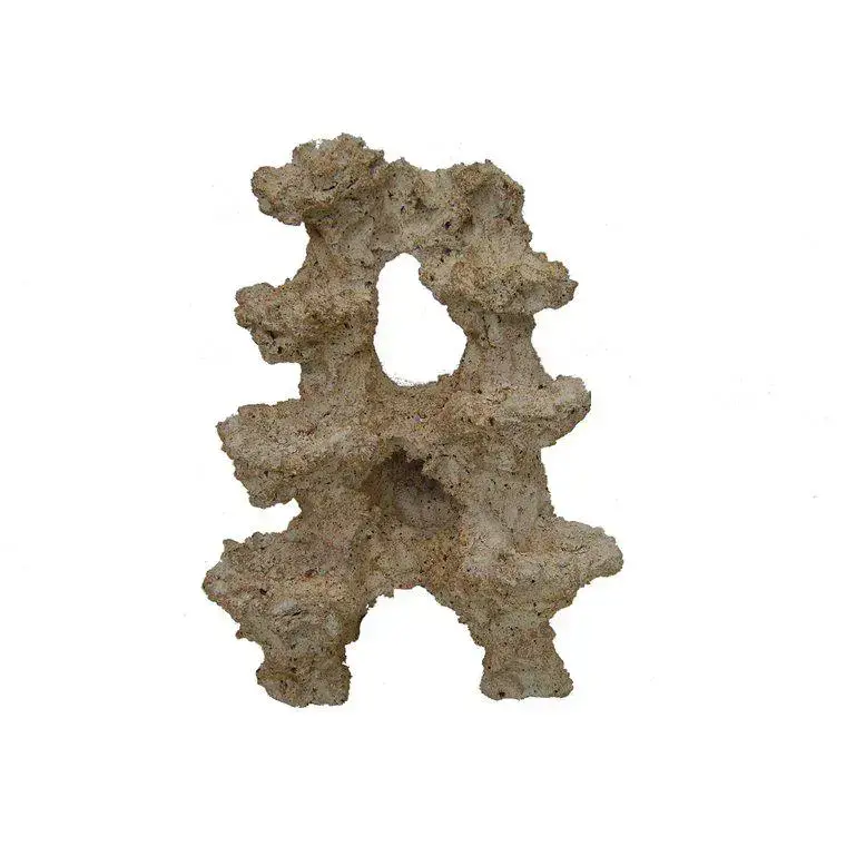 Meilleure Vente Reef Scene Support Colonisable H 45 cm