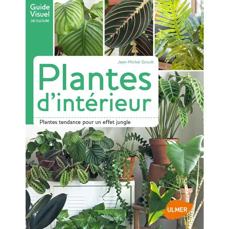 Plantes d&rsquo;Intérieur 120 pages Éditions Eugen ULMER Meilleur Prix