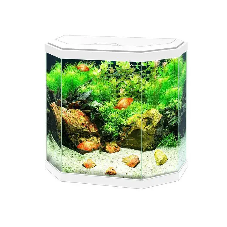 Aquarium équipé 30 Light blanc – 30L Pas Cher