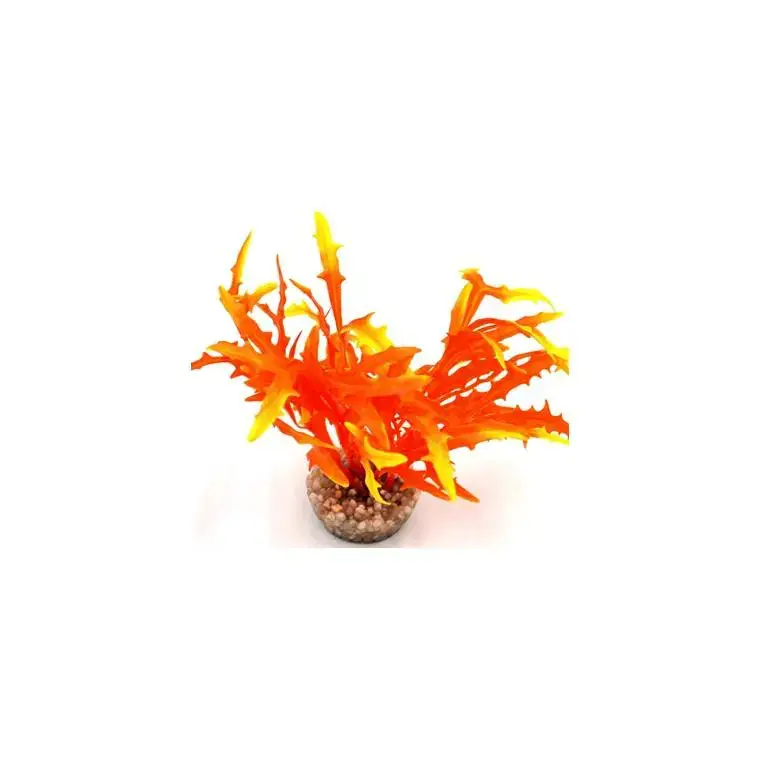 Massif d’algue assorti orange en plastique 8 cm Petit Prix