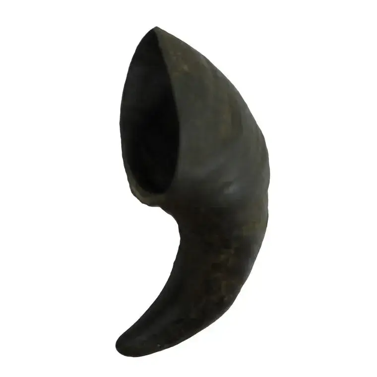 Bon Marché Corne de buffle pour chien – Taille S
