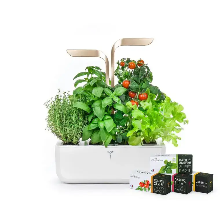 Dernière Chance Potager d&rsquo;intérieur autonome Véritable® CONNECT – Moonlight Gold – livré avec 4 lingots