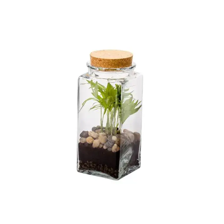 Terrarium quitto Bulle de Nature taille M Ø 10 x h 20 cm Commander Vite