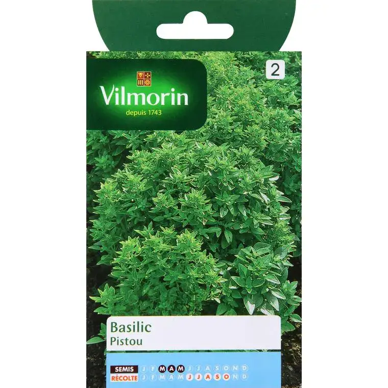Graines de basilic pistou Vilmorin – graines à semer Nouvel Arrivage