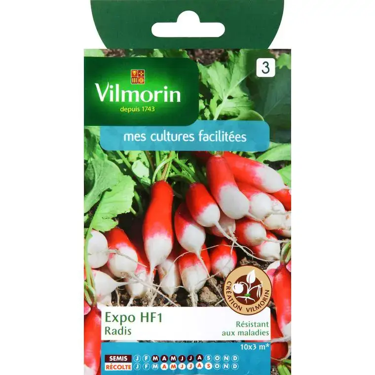 Vente Directe Graines de radis expo HF1 Vilmorin – graines à semer