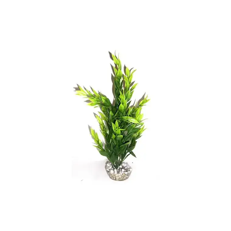 Soldes Cycared vert en plastique 28 cm