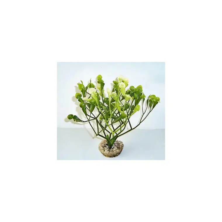 Offre Du Jour Fucus vert en plastique 15 cm