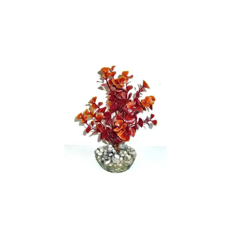 Ledwiga bordeaux-marron en plastique petit modèle 17 cm Dernier Modèle