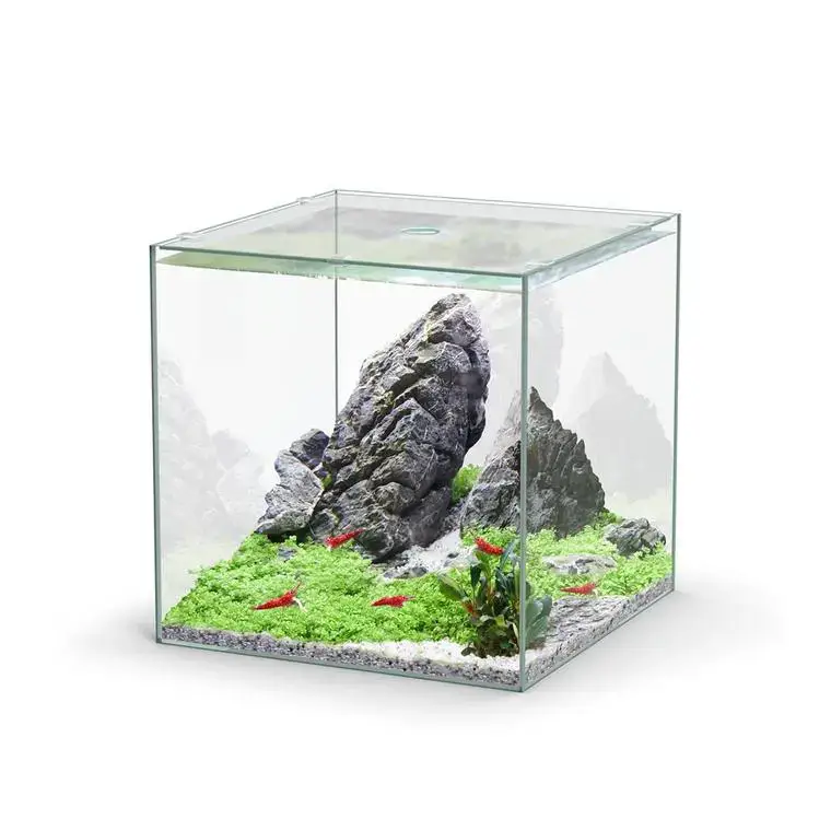 Aquarium cuve nue Kubus – 33L Top Vente