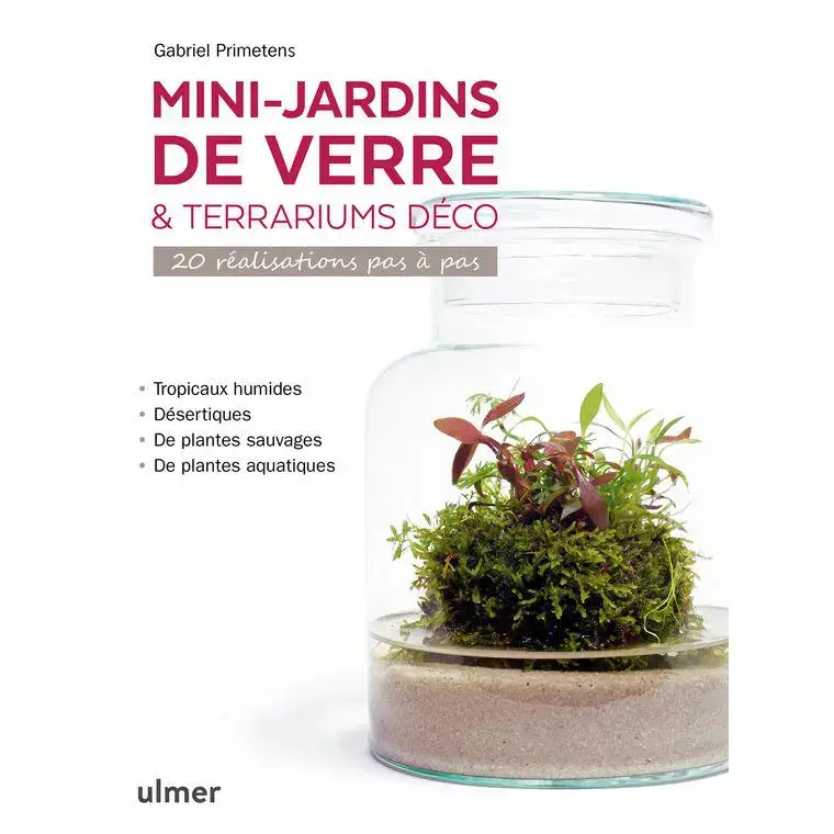 Mini-jardins de verre et terrariums déco aux éditions Ulmer Haute Qualité
