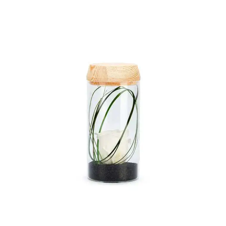 Verrine tube light blanche taille S Ø 8 x H 18 cm Populaire