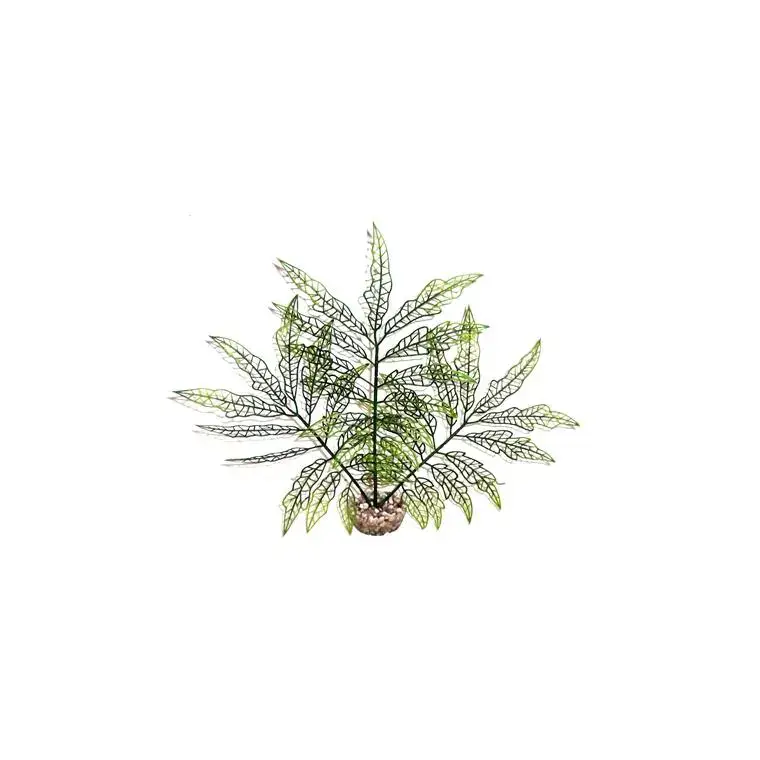 Pas Cher Herbe déco verte en plastique 30 cm