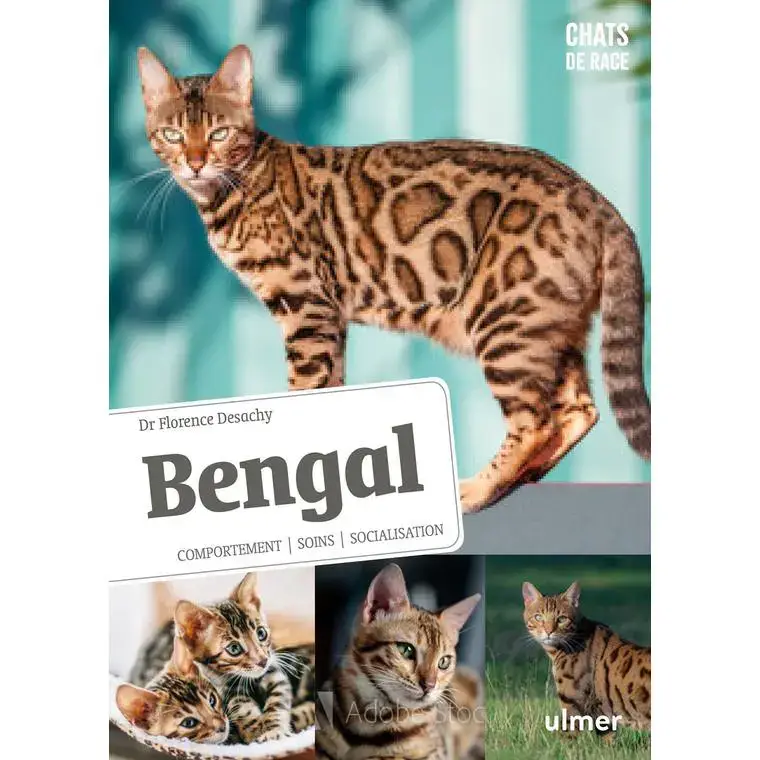 Bengale Acheter En Ligne