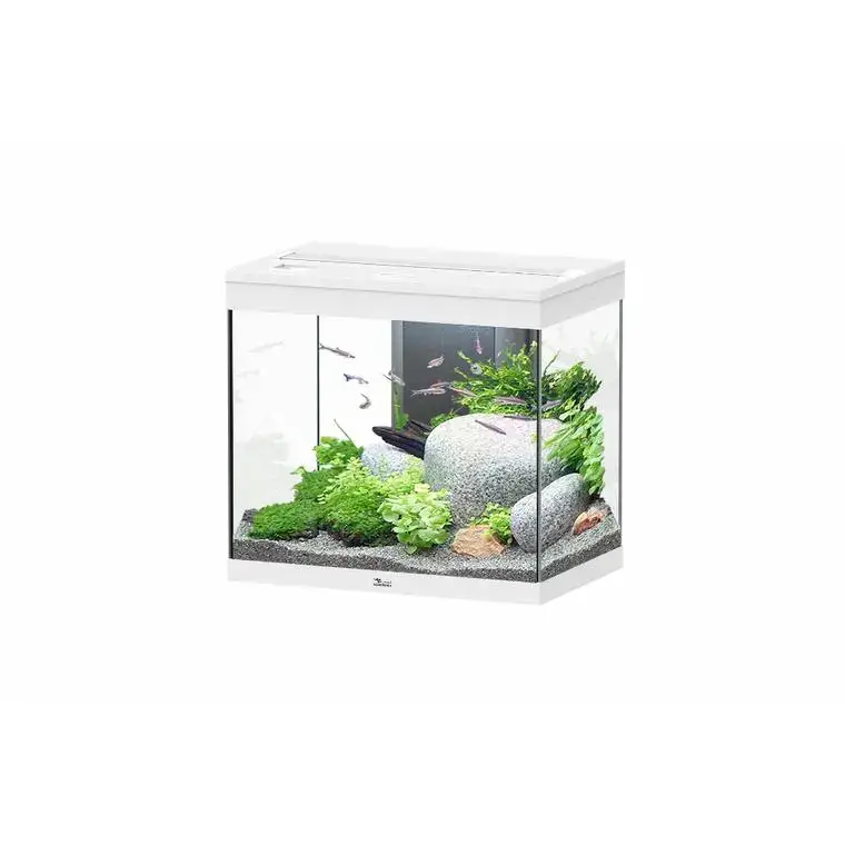 Usine Directe Aquarium équipé Splendid blanc – 109L
