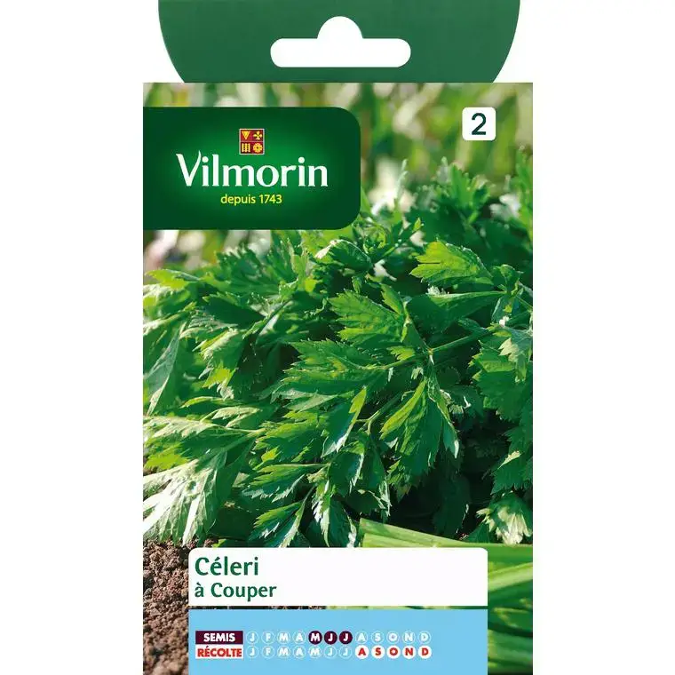Graines de céléri à couper Vilmorin – graines à semer Expédié Aujourd&rsquo;hui