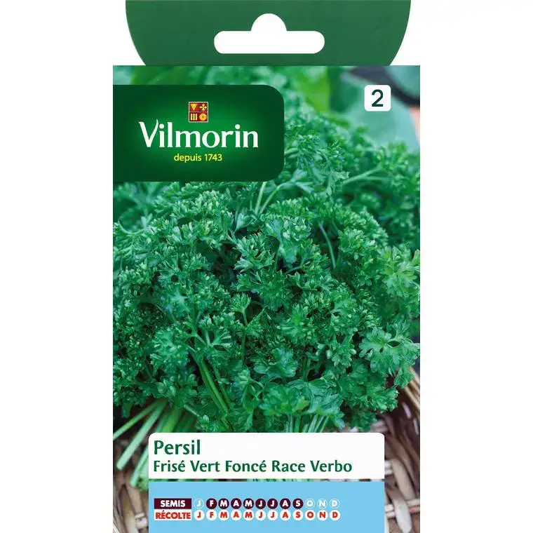 Affaire À Saisir Graines de persil frisé vert foncé race verbo Vilmorin – graines à semer