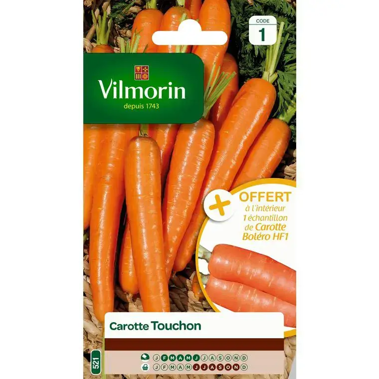 Nouvelle Collection Graines de carotte touchon Vilmorin orange – graines à semer