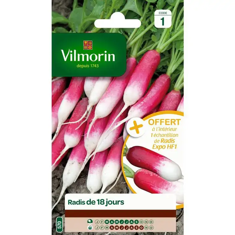 Acheter Direct Graines de radis 18 jours Vilmorin – graines à semer