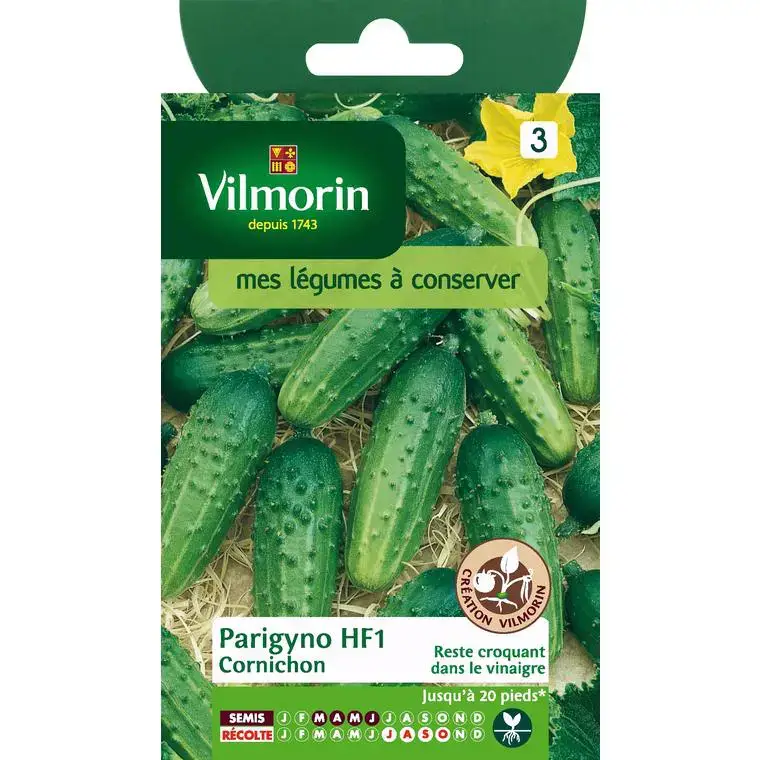 Graines de cornichon parigyno Vilmorin – graines à semer Expédié Aujourd&rsquo;hui