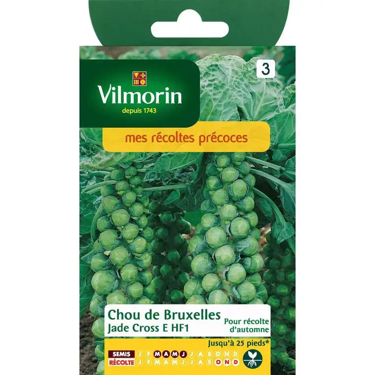 Graines de choux de Bruxelles jade cross HF1 Vilmorin – graines à semer Dernier Modèle