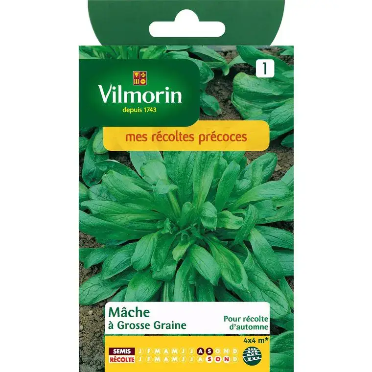 Graines de mâche à grosse graine Vilmorin 4 x 4 mètres – graines à semer Solde