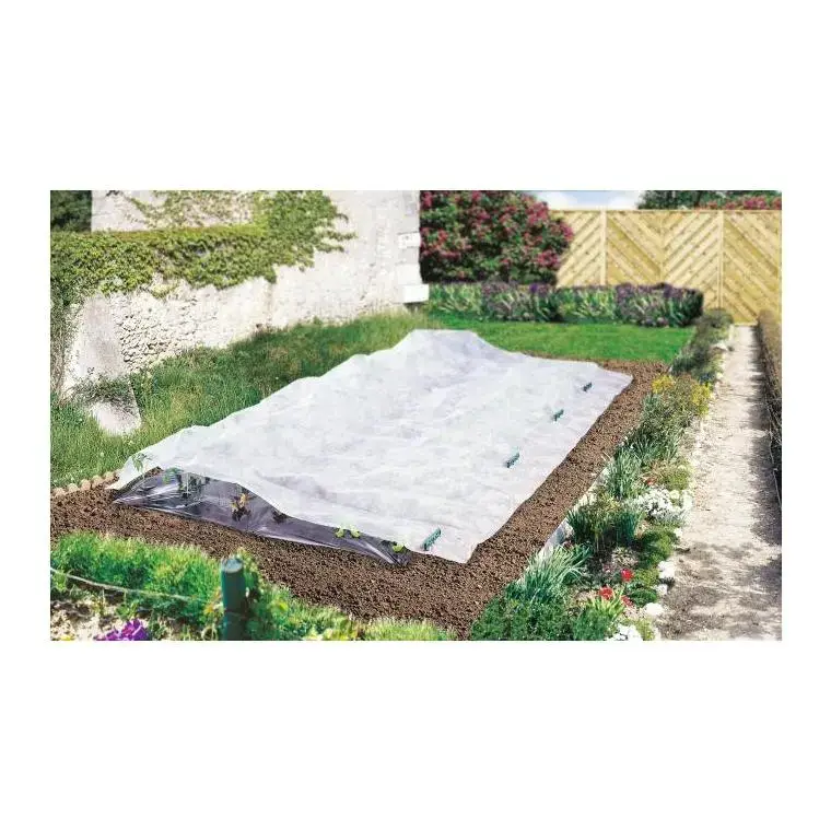Voile de croissance coloris blanc 2×10 m Haute Qualité