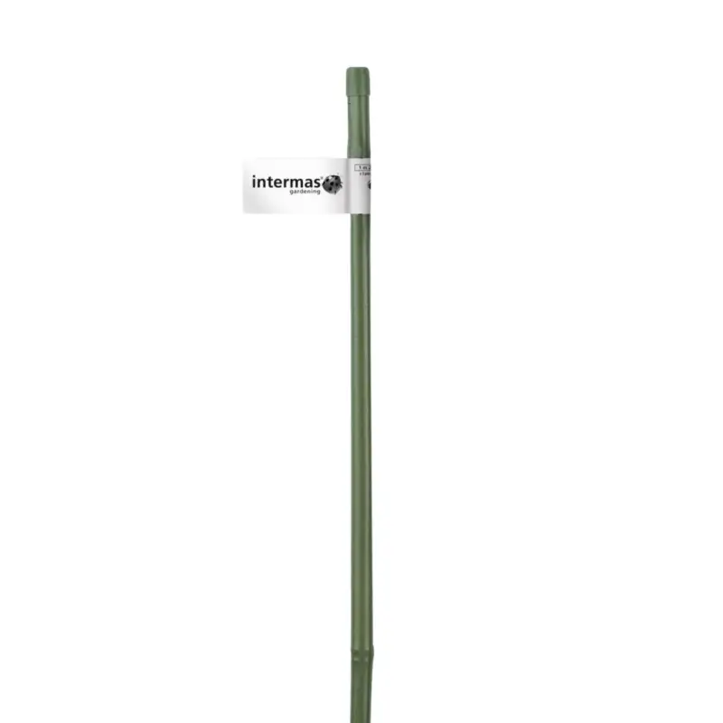 Offre Exclusive Tuteur bambou plastifié coloris vert Ø 7/11 mm x 0,60 m