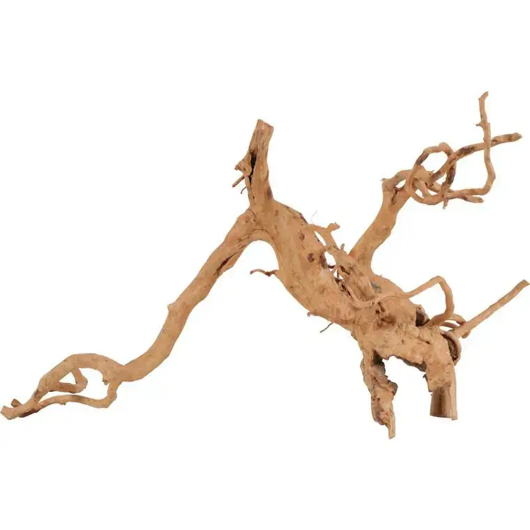 Décoration naturelle pour aquarium et terrarium coloris marron Zolux racine araignée – 50 à 60 cm Super Prix
