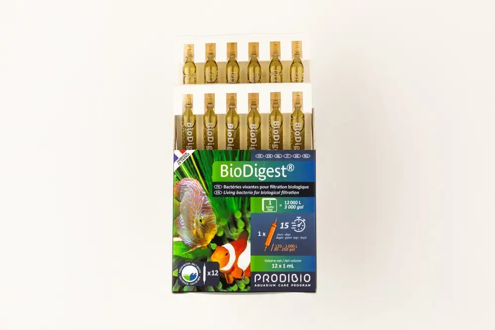 Boîte d&rsquo;ampoules Prodibio Biodigest – x 12 Vente Flash