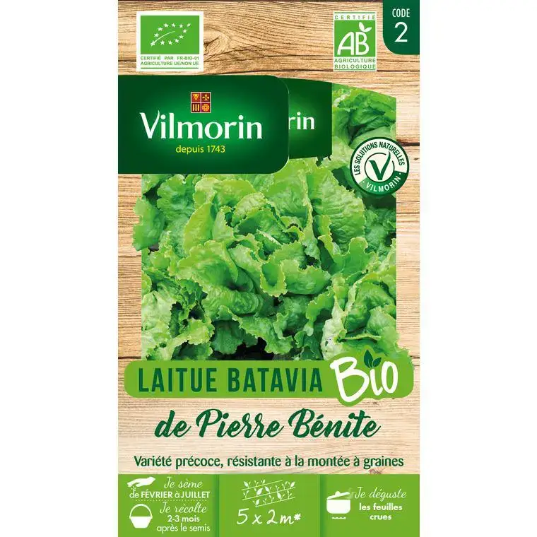 Graines de laitue batavia de Pierre Bénite bio Vilmorin – graines à semer Meilleure Vente