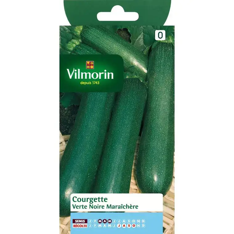 Pas Cher Graines de courgette verte noire maraichère Vilmorin – graines à semer