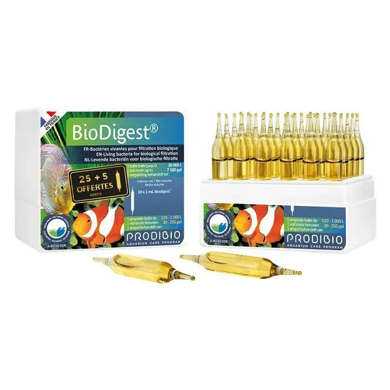 Ampoules biodigest rééquilibrant bio, PRODIBIO – 30 unités Prix Promo