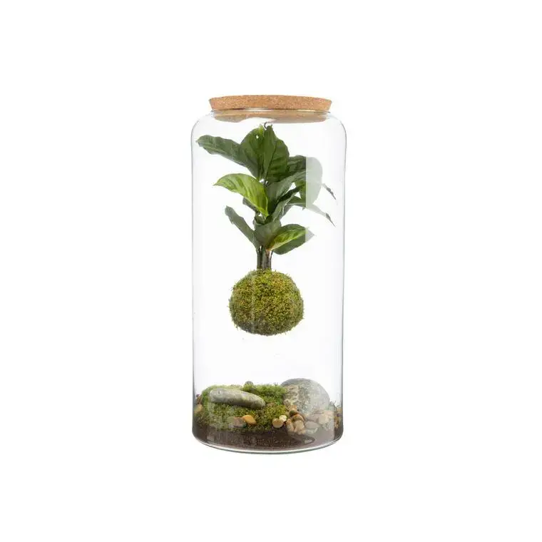 Terrarium Bulle de Nature suspension Mia Cala taille L – Ø 19 cm Promotion Saisonnière