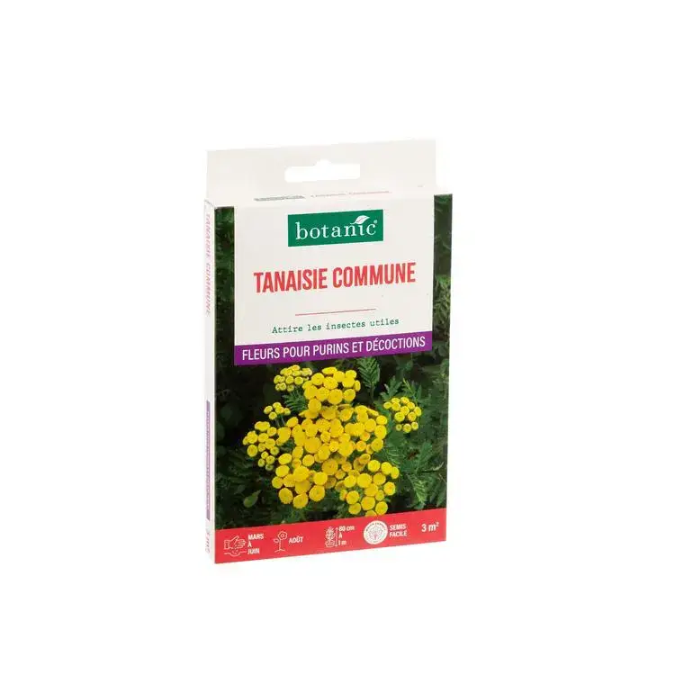 Tanaisie commune bio botanic® – graines à semer (3 m²) Satisfait Ou Remboursé
