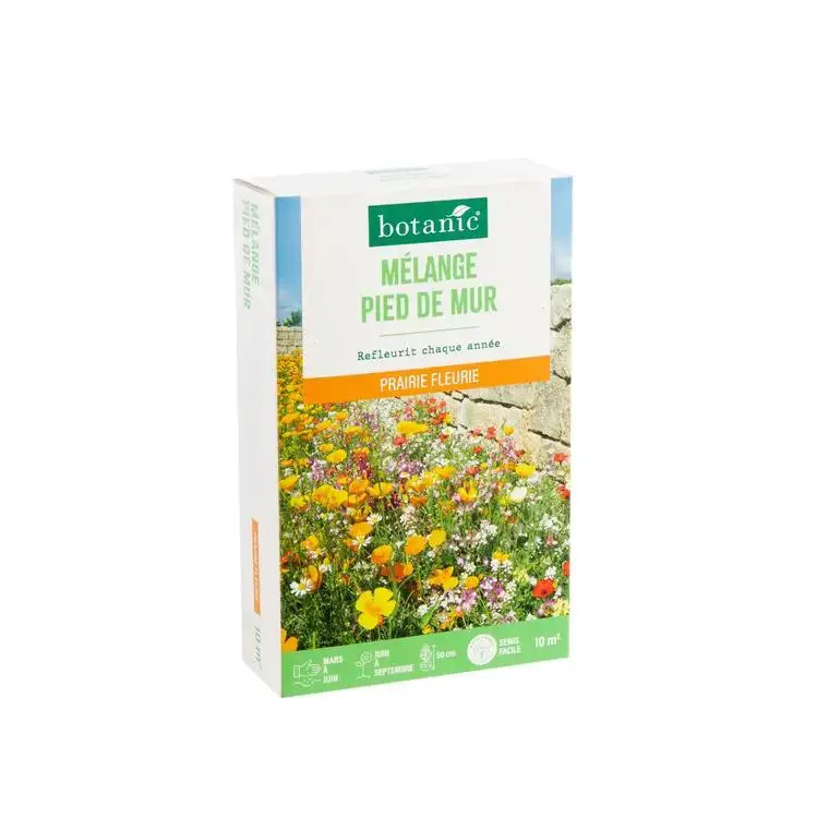 Authentique Mélange de graines pour pied de mur botanic® – graines à semer (10 m²)