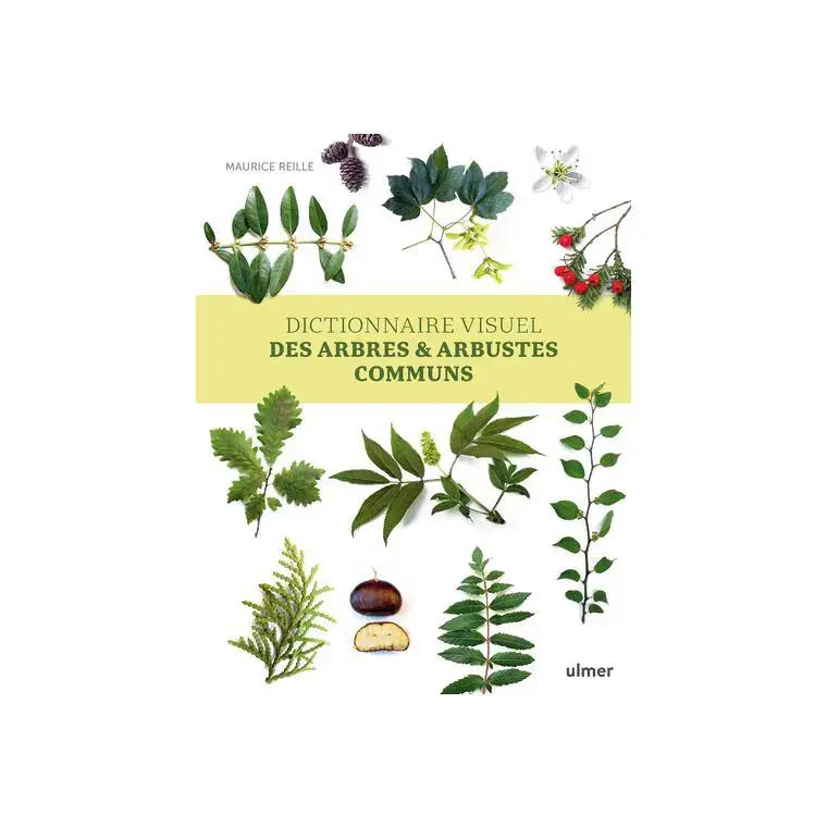 Dictionnaire visuel des arbres et arbustes communs aux Éditions ULMER – 320 pages Bon Marché