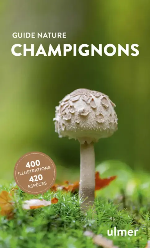 Achat Immédiat Livre Champignons Guide nature aux Éditions Ulmer – 192 pages
