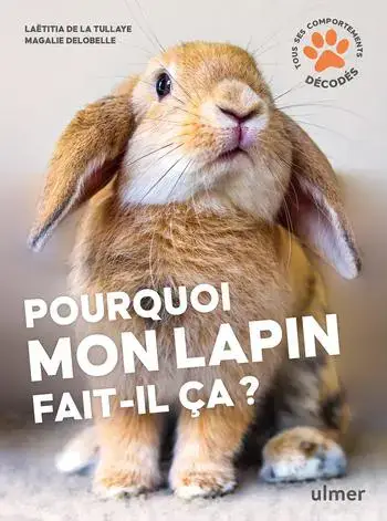 Quantité Limitée Livre Pourquoi mon lapin fait-il ça ? Aux Éditions Ulmer – 96 pages