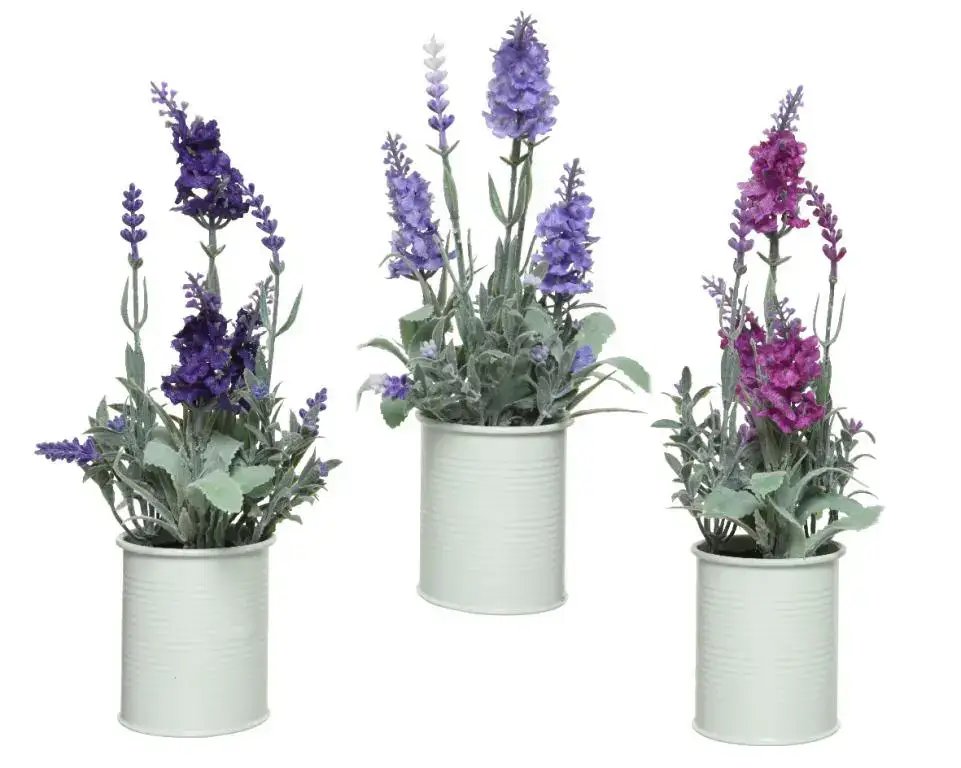 Meilleur Choix Pot de lavande coloris violet – 10 x 10 x 26 cm