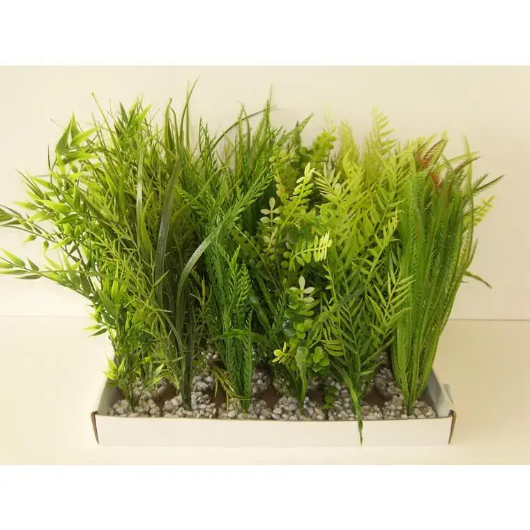 Plante verte pour aquarium coloris vert Labeo Must-Have