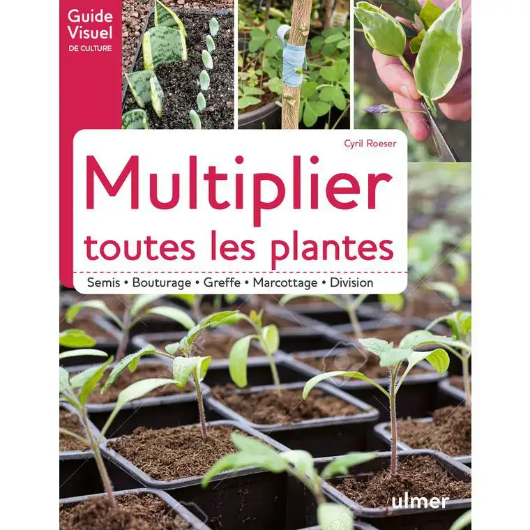 Livre Multiplier toutes les plantes – Guide visuel de culture Éds Ulmer – 120 pages Top Vente