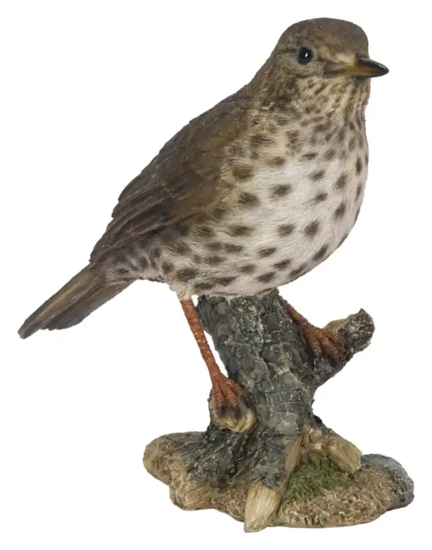 Haute Qualité Grive en résine marron Riviera – 17 cm