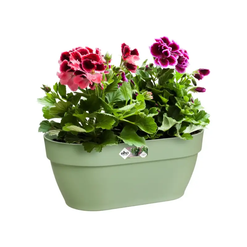 Jardinière murale en plastique recyclé coloris vert pistache Elho Vibia Campana – 14,8 x 16,2 cm Commande En Gros