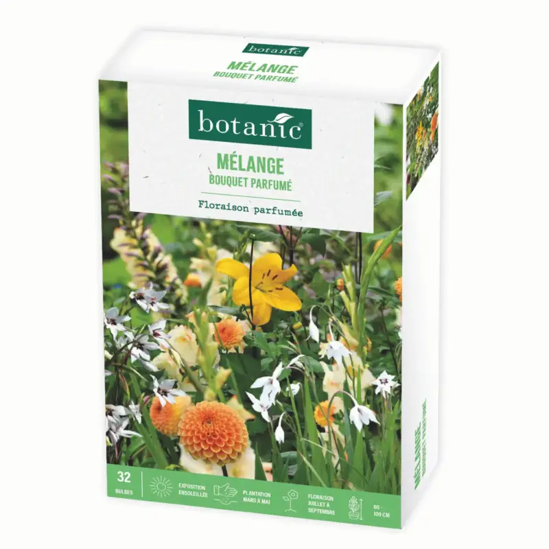 Boite de bulbes de fleurs en mélange bouquet parfumé botanic® – 32 bulbes Promotion Saisonnière