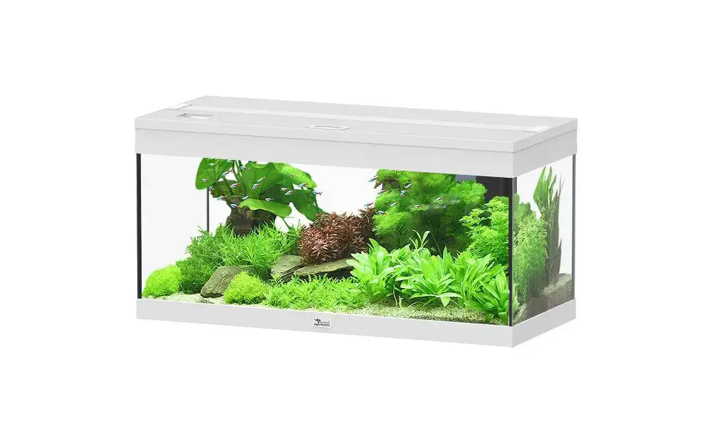 Pas Cher Aquarium Prestige 80 coloris blanc Auxine – 85 L