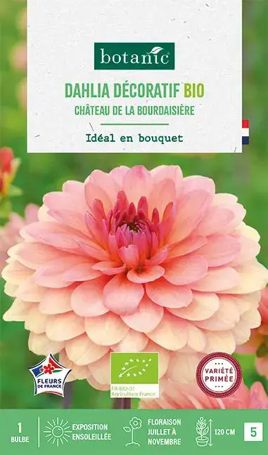 Acheter Direct Bulbe de fleurs Dahlia décoratif Château de la Bourdaisière bio botanic® – 1 bulbe
